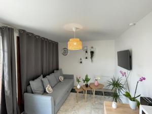 Appartements Joli T2, Terrasse et Jardin, Ideal pour familles, a 15 min de l'aeroport Roissy CDG : photos des chambres