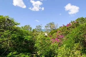 Villa Vista - Peregian Springs