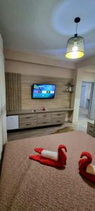 Delight Apartments Pogradec 303
