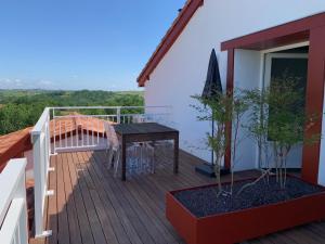 B&B / Chambres d'hotes Bed & Breakfast Perbos 1556 : Chambre Double avec Terrasse