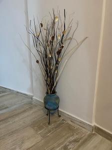 Apartment Belle Epoque