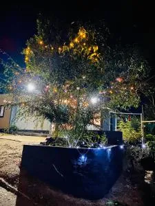 Misty Moon Home stay - Kattappana