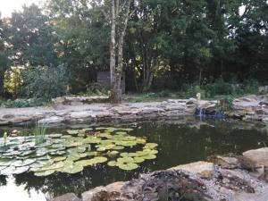 Maisons de vacances Un ete relaxante dans la campagne Aveyronaise : photos des chambres