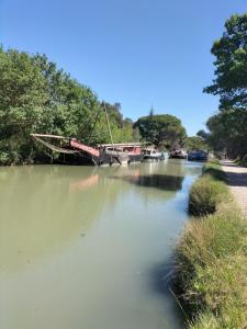 Maisons de vacances Gites a Moussan ,Domaine de la barque a 5 mins de Narbonne : photos des chambres