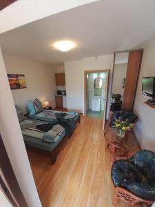 Apartamenty Pod Debem (Ferienwohnungen an der uralten Eiche)