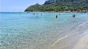 Fior di sole