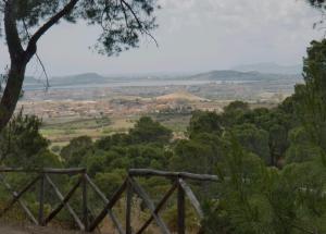 Fior di sole