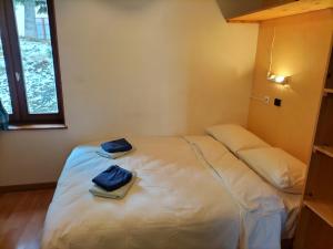 Chalets GITE DE GROUPE LA PLAGNE : photos des chambres