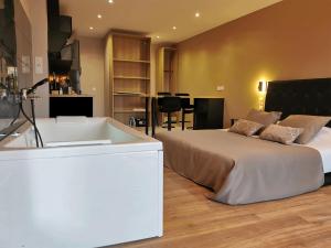 Appartements Appart Hotel Spa Perpignan : photos des chambres