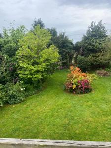 Maisons de vacances Gite de la Ville aux Bois : photos des chambres