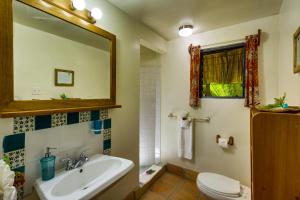 Tanager RainForest Lodge