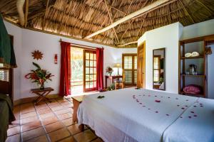 Tanager RainForest Lodge