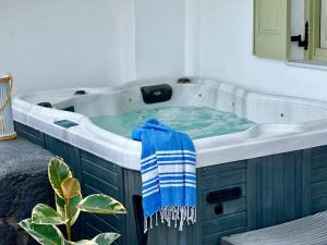 Luxury Vacation Villa Irene with private juccuzi