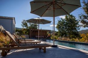 obrázek - Two villas in lush countryside near Motovun