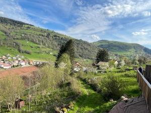 Chalets Chalet L'Obresse : photos des chambres