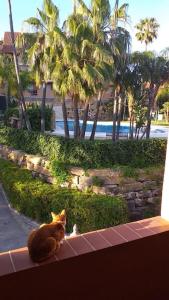 Planta baja cerca de la playa Casares Costa