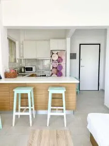 Saronida beach apartments kids and pets friendly - 萨罗尼扎