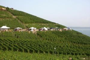 Queen Room room in Hotel Garni Fontana