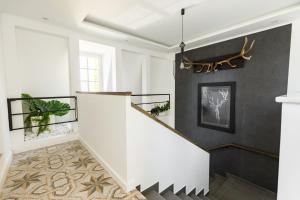 PARK Apartmanok