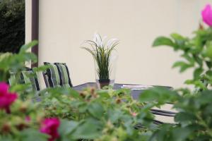 Am Leuchfeuer App 07