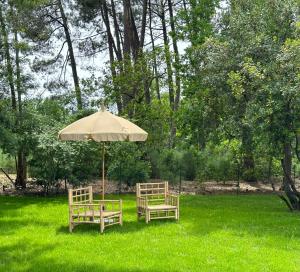 Villas Villa Sophie : photos des chambres