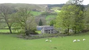 Blaentwrch Farmhouse - Llanycrwys