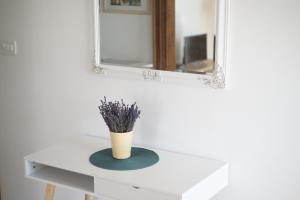 Apartman Gulići 