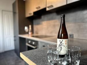 Van Gogh Duplex Eindhoven-Nuenen