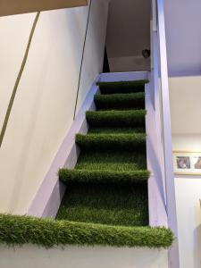 Napoli City Panorama