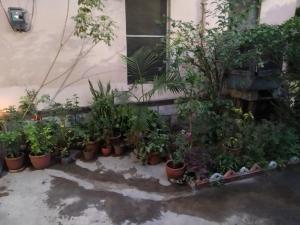 Vrinda Garden