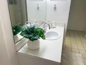 440 West Condo 1602N Sensational Gulf-view