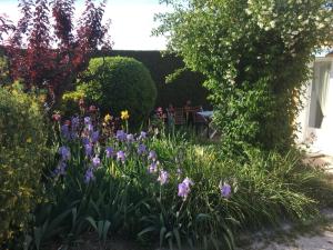 B&B / Chambres d'hotes Le Nid au Pied du Mont Ventoux : photos des chambres