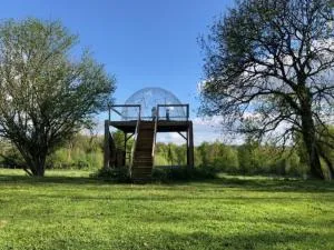 Bulle Elevage Girbal - Thou