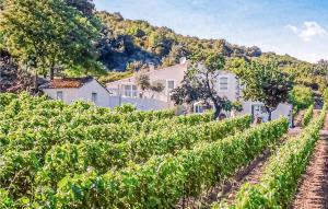 Cozy Home In Cabrerolles