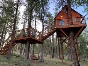 Treehouse Ranch - Biggs Junction