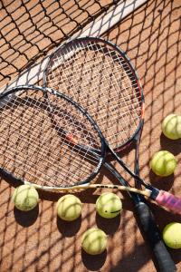 Готель Динамо