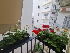 Luxury apartment in Sepolia