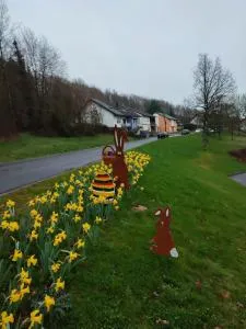 Die Ferienwohnungen Dominik - Horath