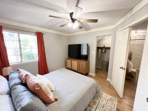 The Cozy Bohemian in Mid-City!