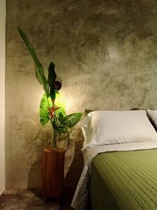Casa Salvaje Vacation Rentals