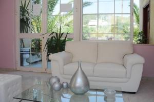 Senia Studios
