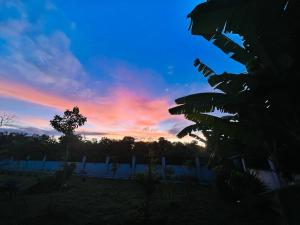 Lanai Meranti