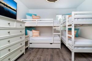 Southbay 100 - Dolphin Watch