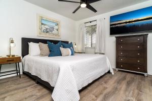 Southbay 100 - Dolphin Watch