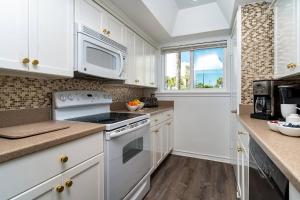 Southbay 100 - Dolphin Watch