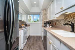 Southbay 100 - Dolphin Watch