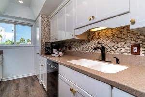 Southbay 100 - Dolphin Watch