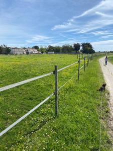 Maisons de vacances La Fleur des Marais - 3 chambres & jardin 400m2 : photos des chambres