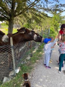 Maisons de vacances La Fleur des Marais - 3 chambres & jardin 400m2 : photos des chambres