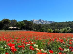 Appartements Studio Panoramic with the pool near Saint Victoire Aix en Provence : photos des chambres